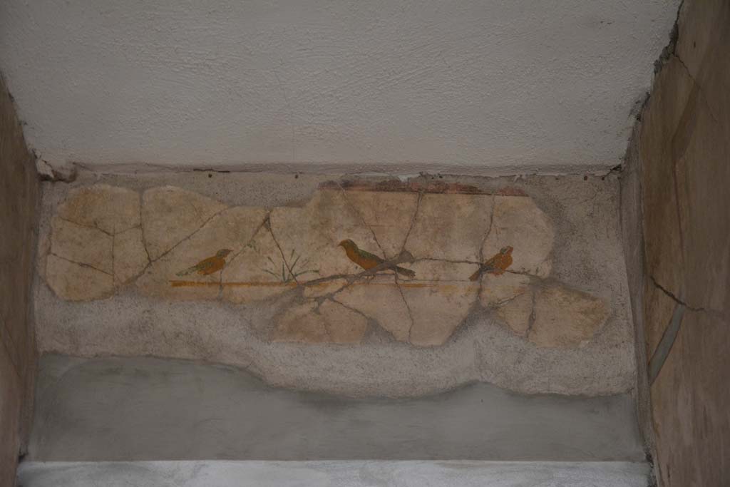 I.6.15 Pompeii. March 2019. 
Corridor 7, south wall above doorway to atrium, painted birds similar to those in fauces/entrance corridor. 
Foto Annette Haug, ERC Grant 681269 DCOR
