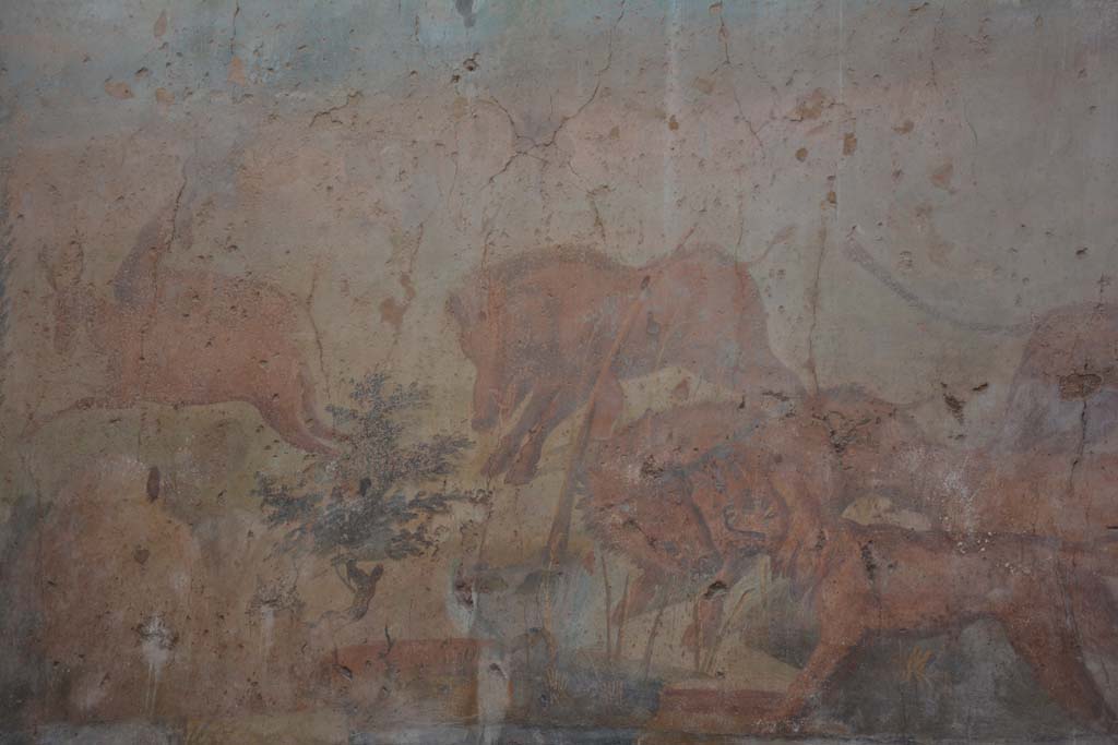 I.6.15 Pompeii. March 2019. Room 9, detail from hunt painting on north wall.  
Foto Annette Haug, ERC Grant 681269 DCOR
