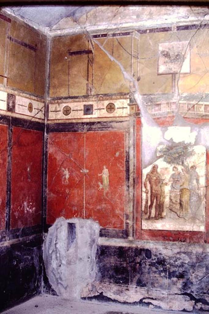 I.7.7 Pompeii. 1968. 
North-west corner and north wall of triclinium. Photo by Stanley A. Jashemski.
Source: The Wilhelmina and Stanley A. Jashemski archive in the University of Maryland Library, Special Collections (See collection page) and made available under the Creative Commons Attribution-Non Commercial License v.4. See Licence and use details.
J68f0723
Kuivalainen, describing the panel at the west end of the north wall –
“A simple thin candelabrum divides a red side panel into two. 
On the right, a youth (young half-naked Bacchus) is standing with his weight on his right foot and his outstretched arm above a panther; his lower body is covered with a greenish-grey cloak, the sleeve of which is on his left arm. The panther is painted in movement forwards and light tones, with only the fore part of the body visible; its back is behind the youth.”
See Kuivalainen, I., 2021. The Portrayal of Pompeian Bacchus. Commentationes Humanarum Litterarum 140. Helsinki: Finnish Society of Sciences and Letters, (p.108-9, C4).
