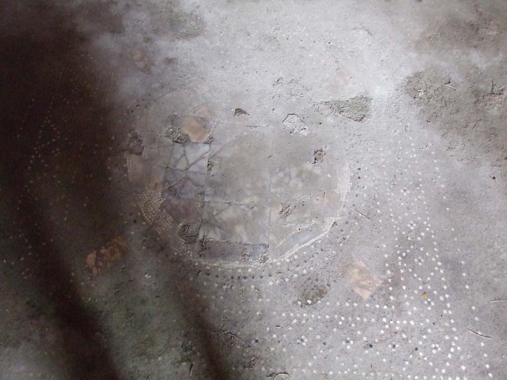 I.7.7 Pompeii. December 2006. Detail of mosaic floor in triclinium.  