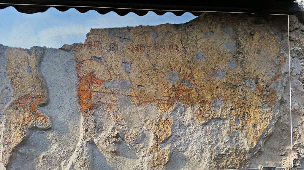 I.7.7 Pompeii. 2015/2016. Detail of horses, in centre right, of ancient combat wall painting. Photo courtesy of Giuseppe Ciaramella.