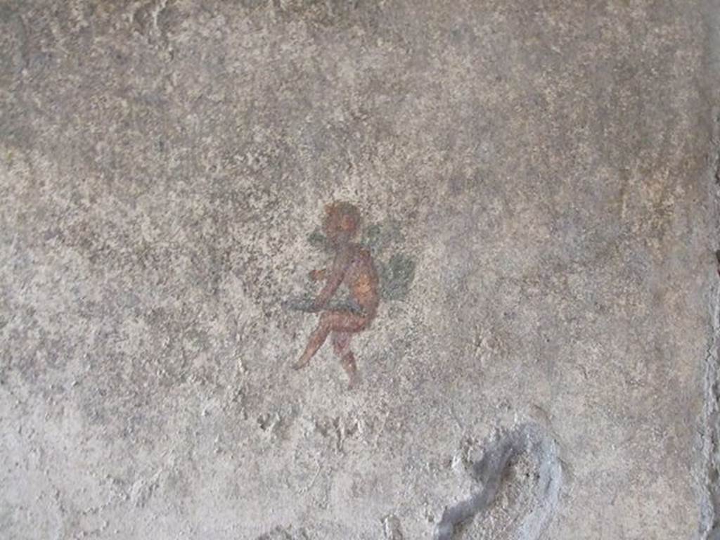 I.7.11 Pompeii. December 2006. Wall painting of flying cupid from south wall of bedroom on west side of atrium.