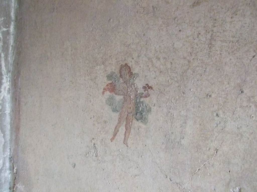 I.7.11 Pompeii. December 2006. Wall painting of flying cupid from north wall of bedroom on west side of atrium.