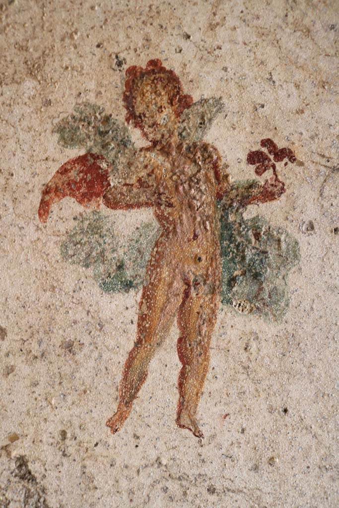 I.7.11 Pompeii. December 2018. 
Detail of wall painting of flying cupid from west end of north wall of bedroom on west side of atrium.
Photo courtesy of Aude Durand.
