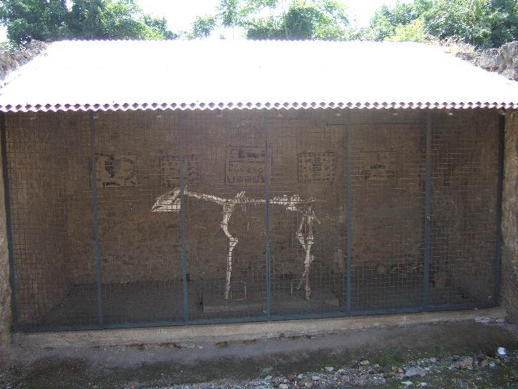 I.8.12 Pompeii. September 2005. Skeleton of horse, or donkey

