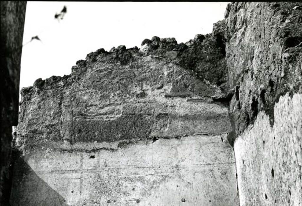 I.8.13 Pompeii. 1975. Shop House, 1st room on W side, lunette on W wall.  Photo courtesy of Anne Laidlaw.
American Academy in Rome, Photographic Archive. Laidlaw collection _P_75_5_12. 
