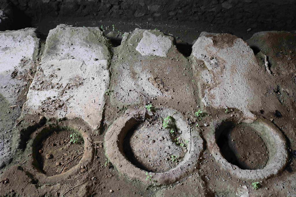 I.8.15-16 Pompeii. December 2018. Detail of plant for production of pigments. Photo courtesy of Aude Durand.