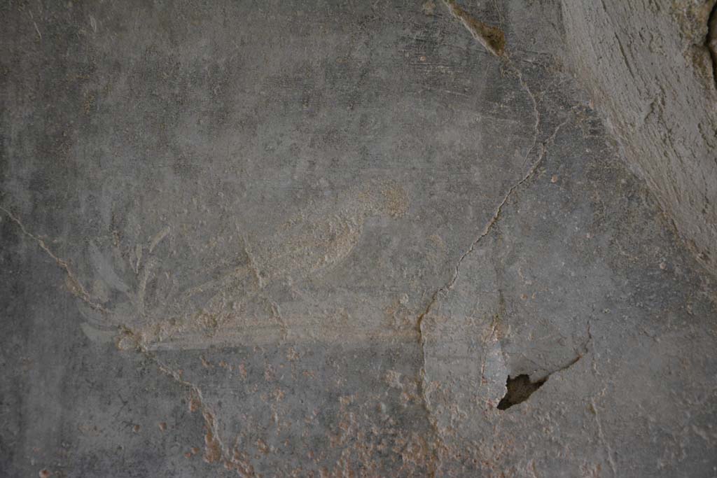 I.8.17 Pompeii. March 2019. Room 7, detail of painted bird from centre of black side panel on west wall at south end.   
Foto Annette Haug, ERC Grant 681269 DÉCOR.
