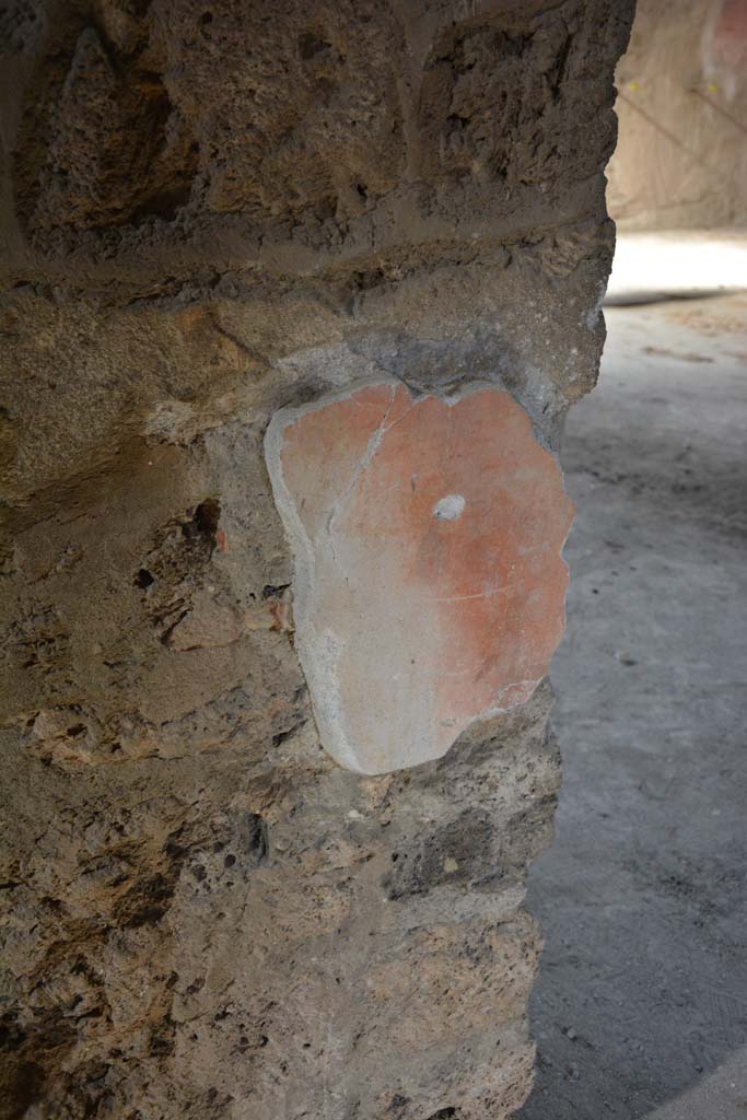 I.8.17 Pompeii. March 2019. 
Room 9, remaining painted stucco from west side of doorway to room 10.
Foto Annette Haug, ERC Grant 681269 DÉCOR.

