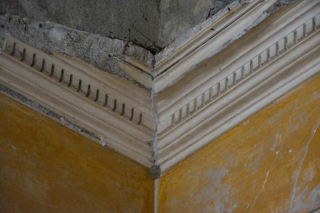I.8.17 Pompeii. March 2019. Room 9, cornice in upper north-east corner.
Foto Annette Haug, ERC Grant 681269 DÉCOR.
