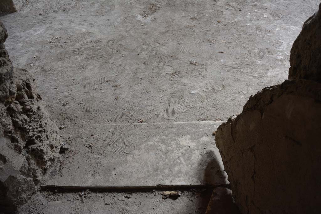 I.8.17 Pompeii. March 2019. Room 12, doorway threshold from cubiculum to atrium 3.
Foto Annette Haug, ERC Grant 681269 DÉCOR.
