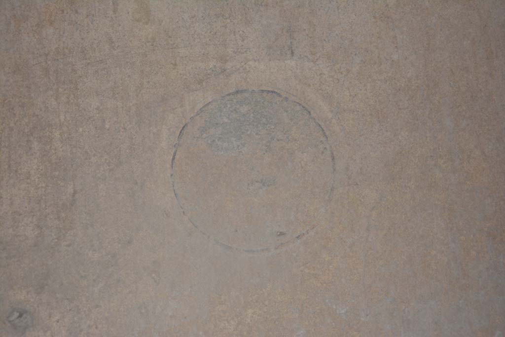 I.8.17 Pompeii. March 2019. Room 14, detail of painted medallion from north end of west wall.
Foto Annette Haug, ERC Grant 681269 DÉCOR.