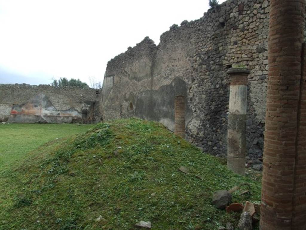 I.9.3 Pompeii. March 2009. Room 6.  Garden area.  West wall.