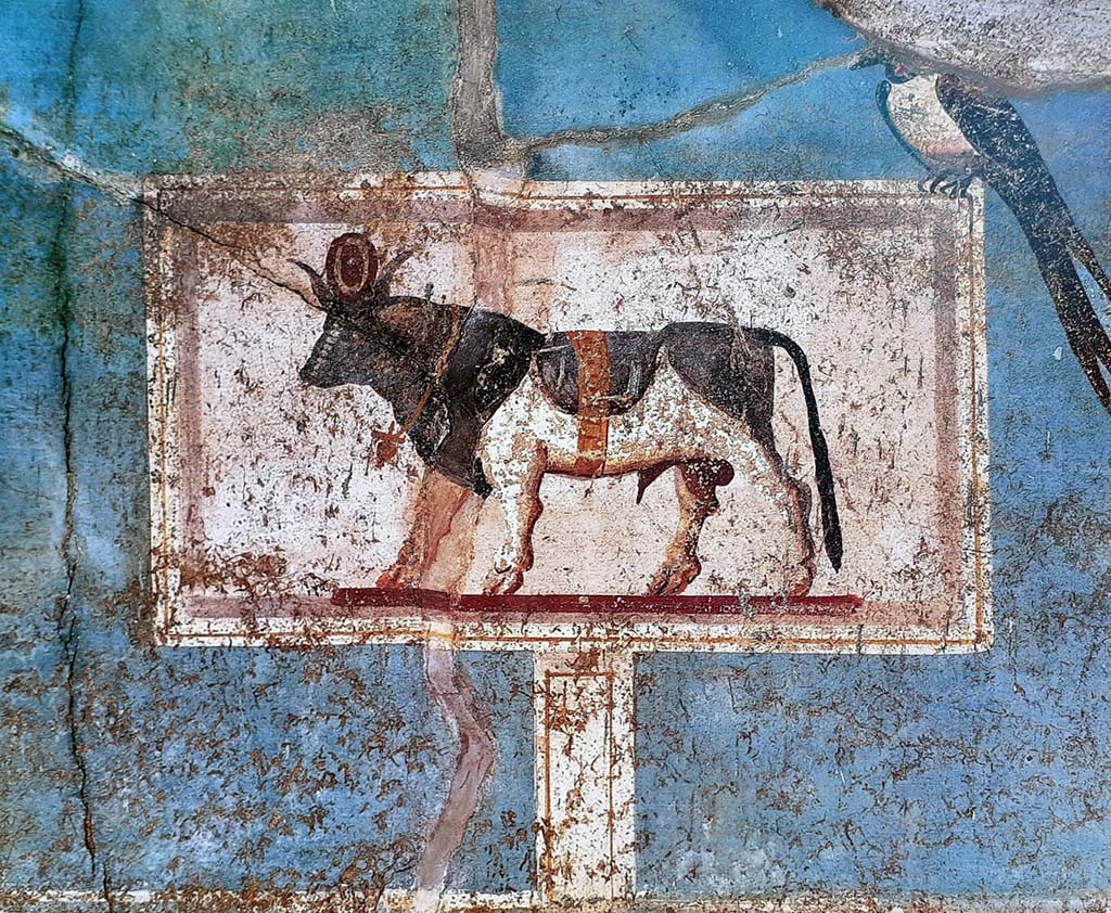 I.9.5 Pompeii. March 2009. Room 5.  Cubiculum.  North wall.  Painting of Apis bull.