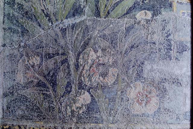 I.9.5 Pompeii, 1968. Room 5, detail of painted flowers.  Photo by Stanley A. Jashemski.
Source: The Wilhelmina and Stanley A. Jashemski archive in the University of Maryland Library, Special Collections (See collection page) and made available under the Creative Commons Attribution-Non Commercial License v.4. See Licence and use details.
J68f0151
