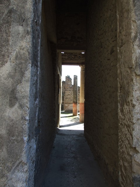 I.9.5 Pompeii. May 2016. Room 7, detail of flooring in corridor. Photo courtesy of Buzz Ferebee.