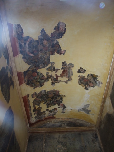 I.9.5 Pompeii. May 2017. Room 11, remains of garden painting on north wall. Photo courtesy of Buzz Ferebee.
