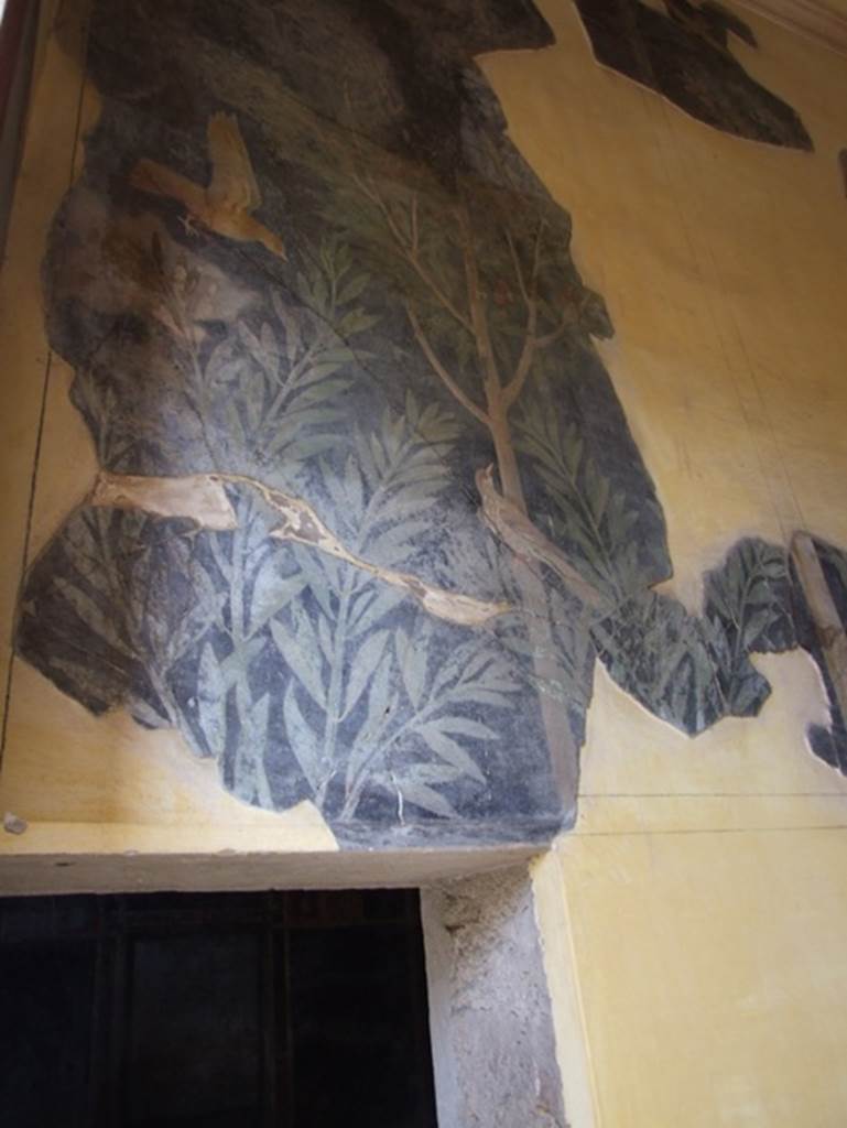 I.9.5 Pompeii. May 2016. Room 11, zoccolo from lower east wall. Photo courtesy of Buzz Ferebee.