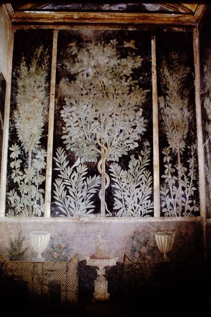 1.9.5 Pompeii. 1966. 
Room 11, detail of painted flowers from east wall at north end. Photo by Stanley A. Jashemski.
Source: The Wilhelmina and Stanley A. Jashemski archive in the University of Maryland Library, Special Collections (See collection page) and made available under the Creative Commons Attribution-Non-Commercial License v.4. See Licence and use details.
J66f0711

