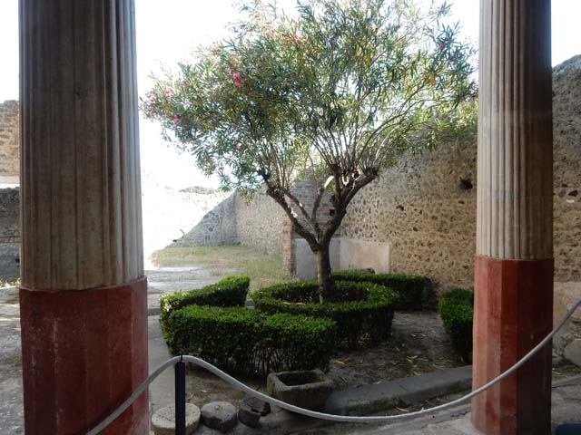 I.9.5 Pompeii. May 2016. Room 12, looking south across peristyle garden. Photo courtesy of Buzz Ferebee.

