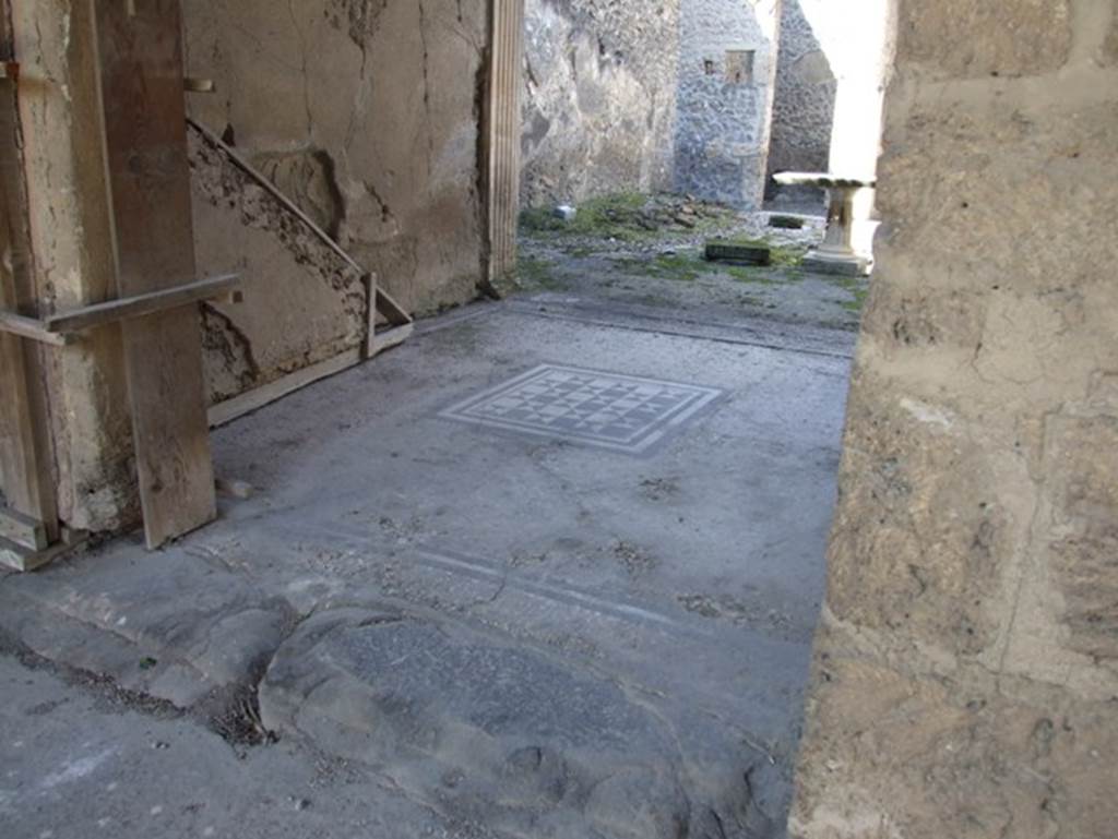 I.9.5 Pompeii. March 2009. Room 8, tablinum. West wall and mosaic floor from portico. Looking north-west to front of atrium. The south-west corner of atrium can be seen in the upper centre.


