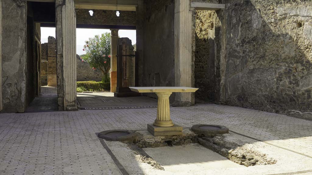 I.9.5 Pompeii. May 2016. Room 3, atrium floor in south-west corner. Photo courtesy of Buzz Ferebee.