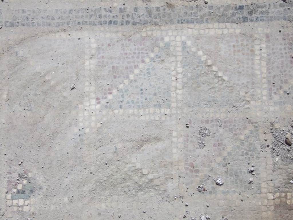 I.9.14 Pompeii. March 2009.   Room 7.  Mosaic floor emblema.