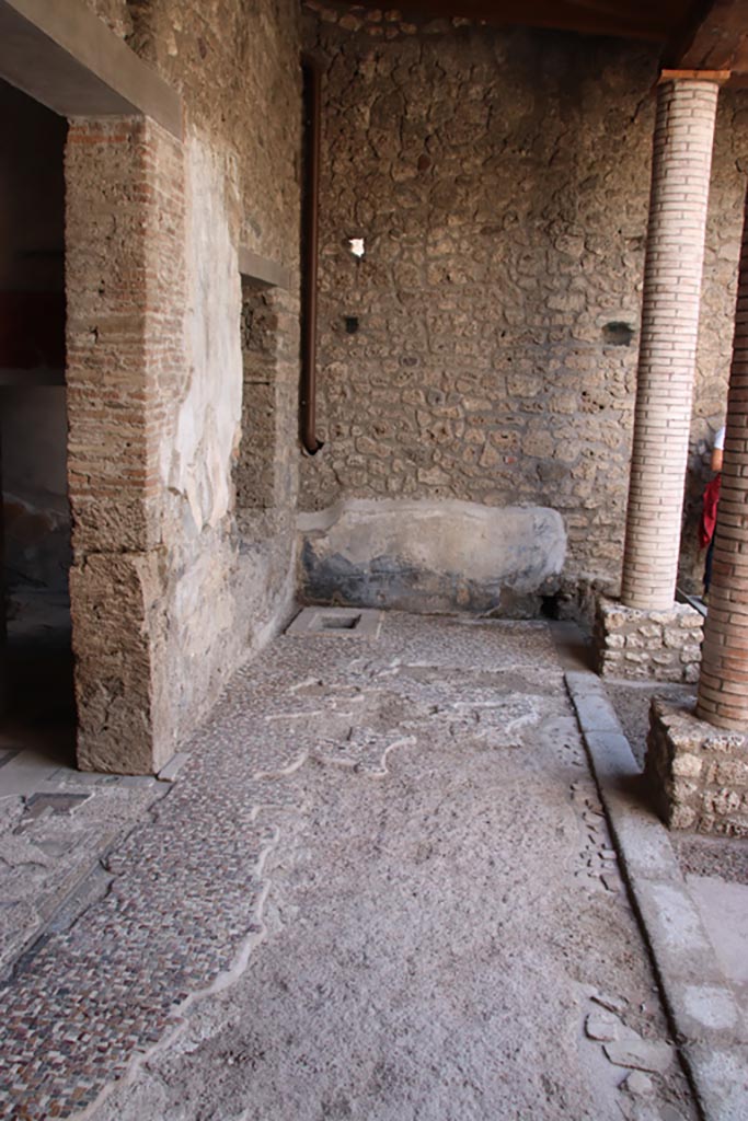 I.9.14 Pompeii. October 2022. 
Room 2, portico/lower garden area, south-west corner with cistern-mouth. Photo courtesy of Klaus Heese.
