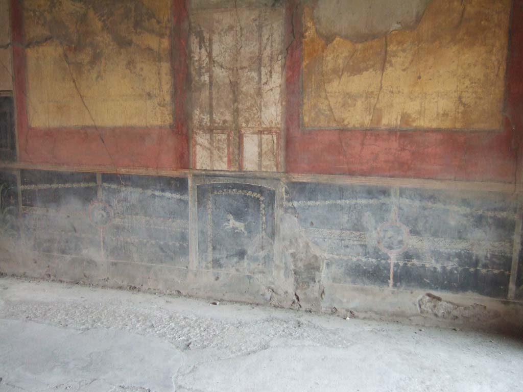 I.10.4 Pompeii. May 2006. Room 8, east wall of tablinum with detail of black painted zoccolo. 