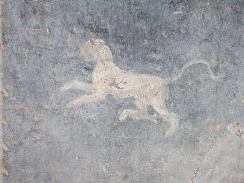 I.10.4 Pompeii. May 2006. Detail of lion, leopard or panther on painted wall.