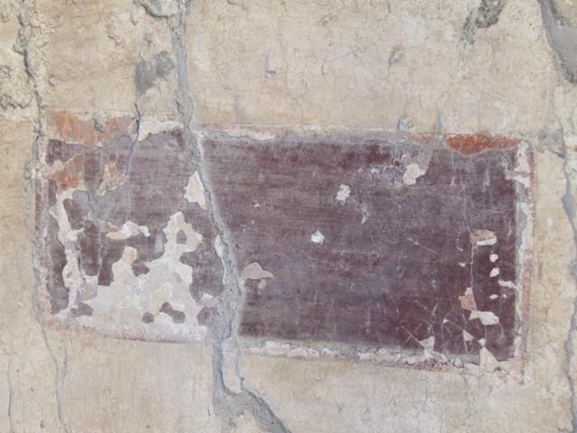 I.10.11 Pompeii. March 2009. Room 10, detail of “violet” panel from east wall of peristyle.  Small painted panel on wall between room 11 and room 12, according to PPP, with graffito.  
