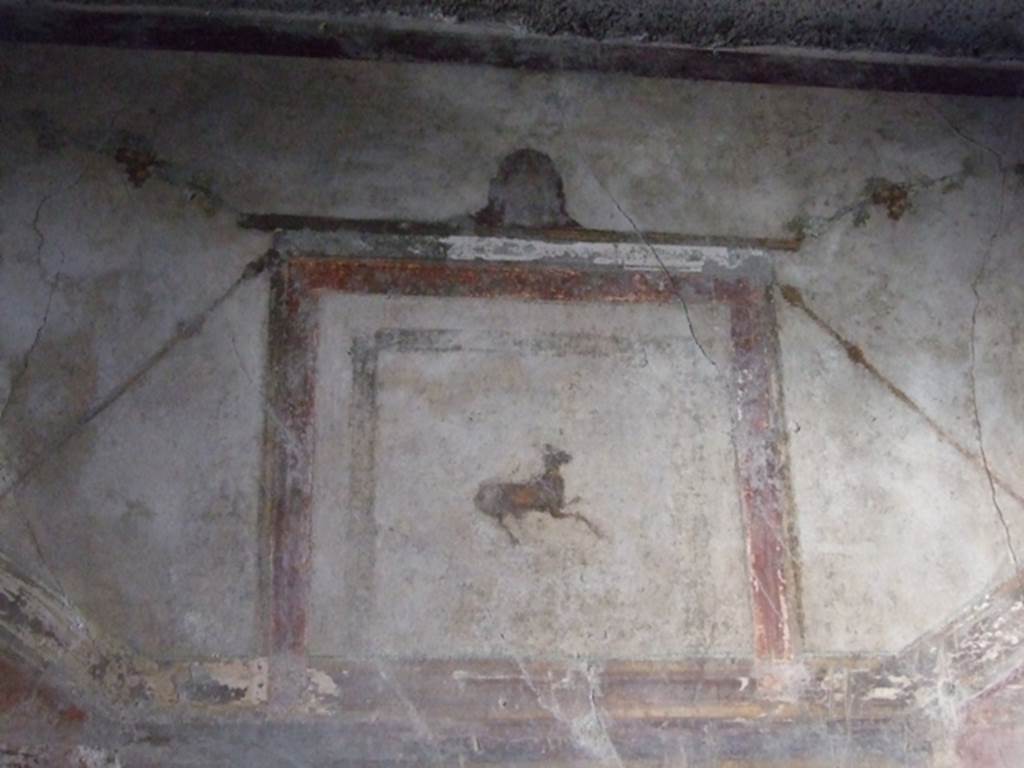 I.10.11 Pompeii.  March 2009.  Room 12.  Cubiculum.  South wall.  Upper part.  Painting of a goat.