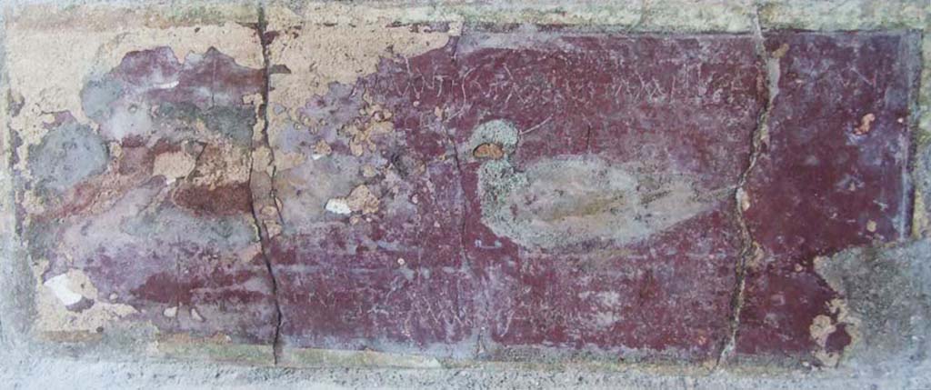 I.10.11 Pompeii. March 2009. Room 10, east wall of peristyle, on south side of doorway to room 13.  Painting of ducks with graffito.  CIL IV 8408 a-c.
“Amantes ut apes vitam melitam exigent.” (Lovers, like bees, make life as sweet as honey). See Bragantini, de Vos, Badoni, 1981. Pitture e Pavimenti di Pompei, Parte 1. Rome: ICCD. (p.144-145)

