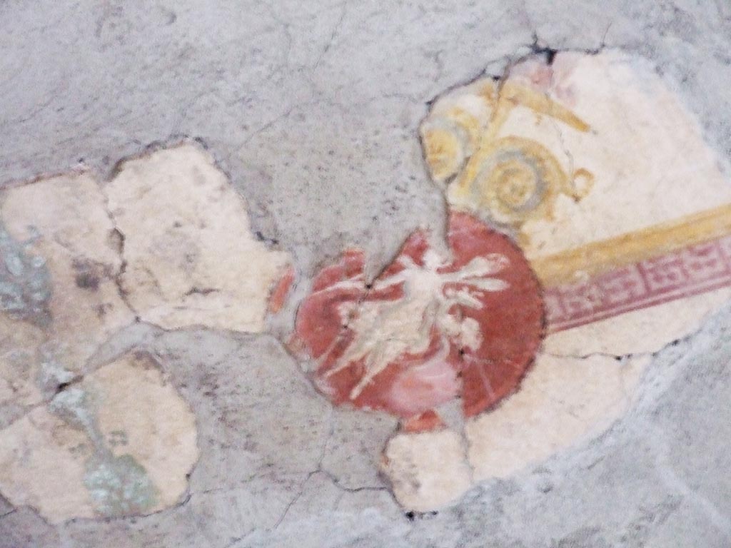 I.10.11 Pompeii. March 2009. Room 13, detail from painted ceiling of cubiculum.  