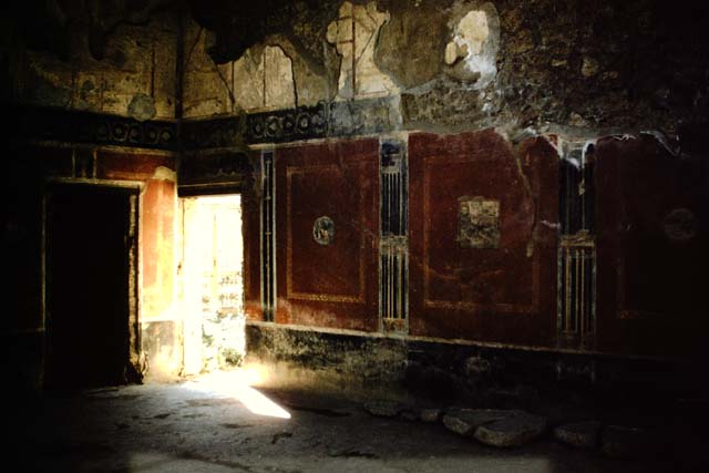 I.10.11 Pompeii. March 2009. Room 2, decoration around cistern mouth in atrium floor.  