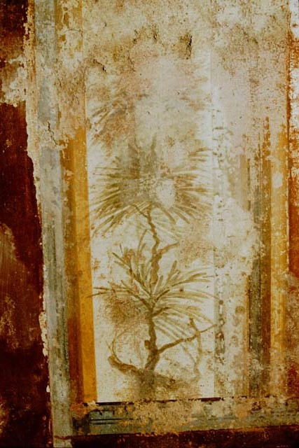 I.11.6 Pompeii. March 2009. Room 7, upper south end of east wall of triclinium.  
