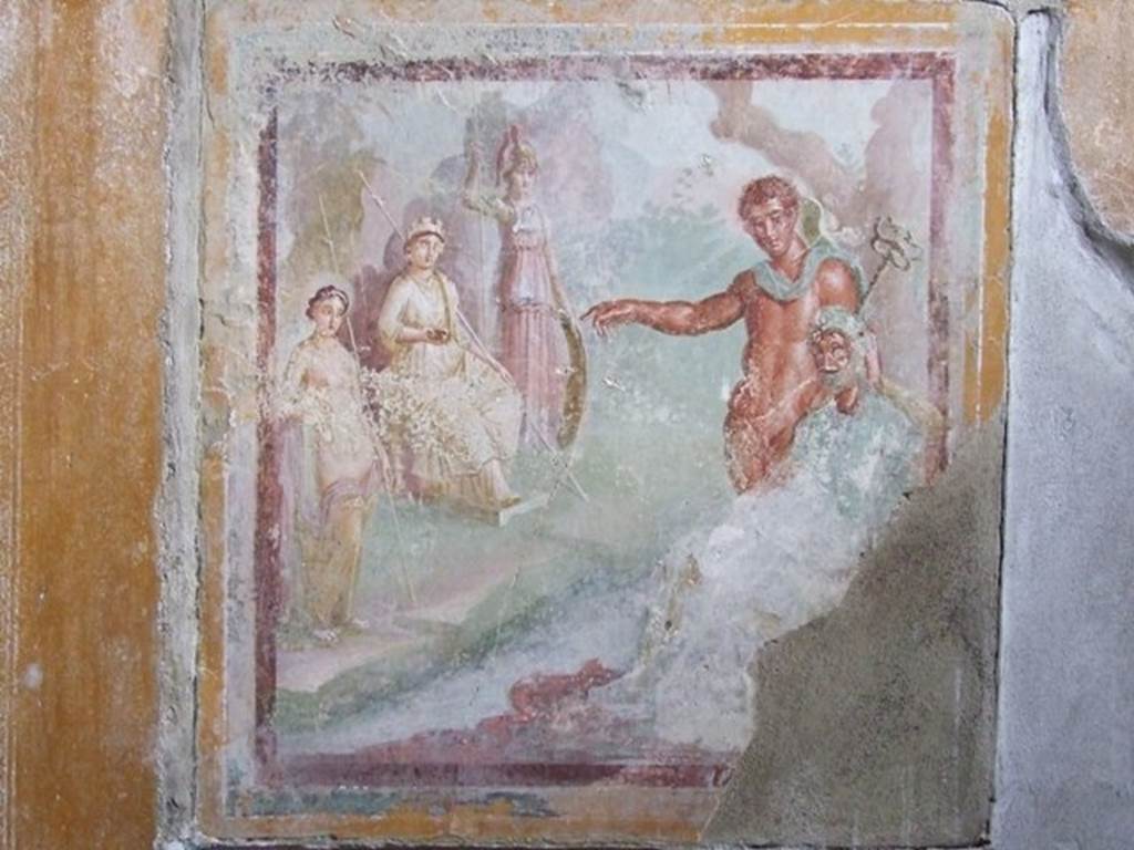 I.11.6 Pompeii. March 2009. Room 7, wall painting of the Judgement of Paris, from north wall of triclinium. See Bragantini, de Vos, Badoni, 1981. Pitture e Pavimenti di Pompei, Parte 1. Rome: ICCD. Page 154.

