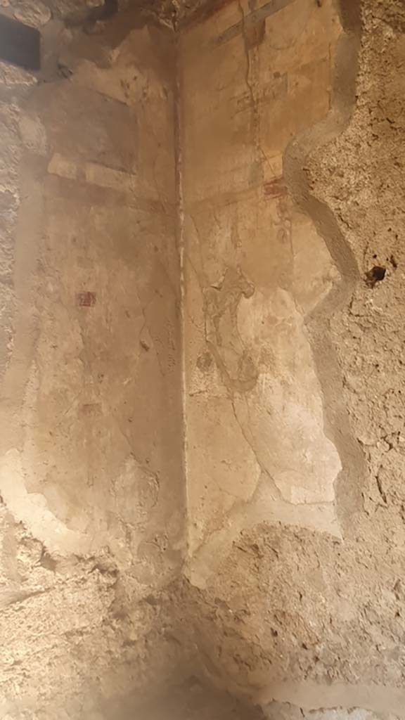 I.12.5 Pompeii. July 2021. Detail of south-west corner of cubiculum.
Foto Annette Haug, ERC Grant 681269 DÉCOR.
