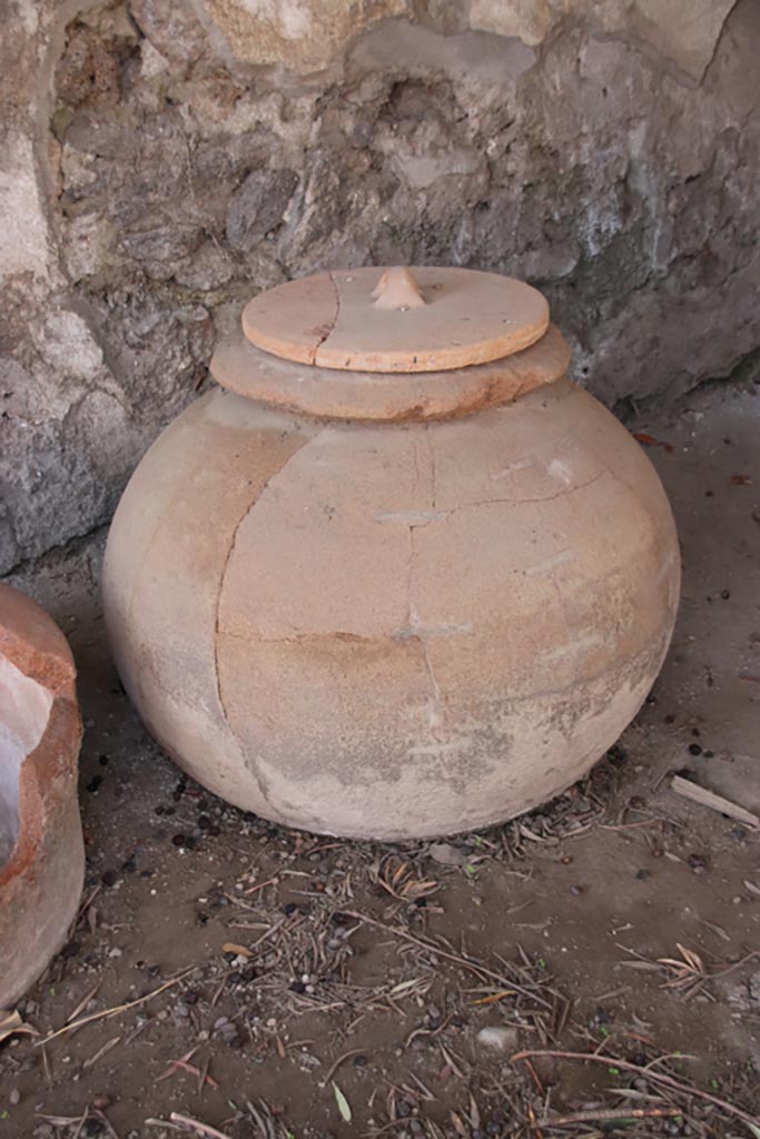I.12.8 Pompeii. October 2022. 
Large terracotta pot in north-west corner of peristyle 9. Photo courtesy of Klaus Heese.
