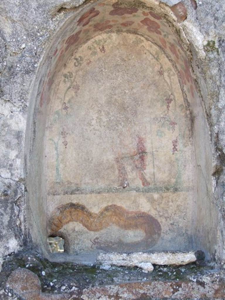 I.12.16 Pompeii.  March 2009.  Room 1. Atrium.  South wall. Niche.  On the back wall stands Bacchus wearing a red mantel and holding a Thyrsus.  Underneath is a painted brown serpent that appears to come from a real hole in the bottom left corner.  See Fröhlich, T., 1991. Lararien und Fassadenbilder in den Vesuvstädten. Mainz: von Zabern. (L28, T:29,1).