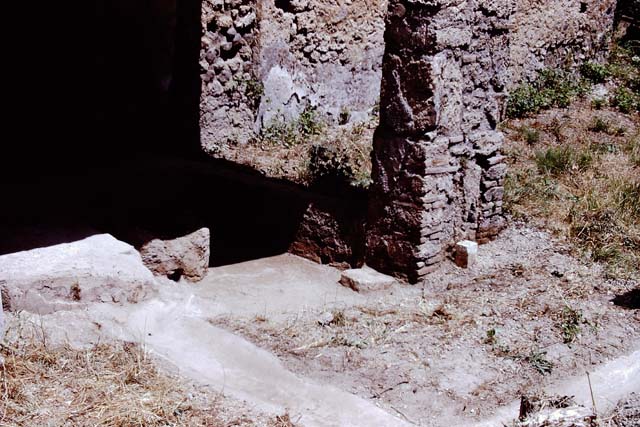 I.13.16 Pompeii.  March 2009. West wall of Summer Triclinium.