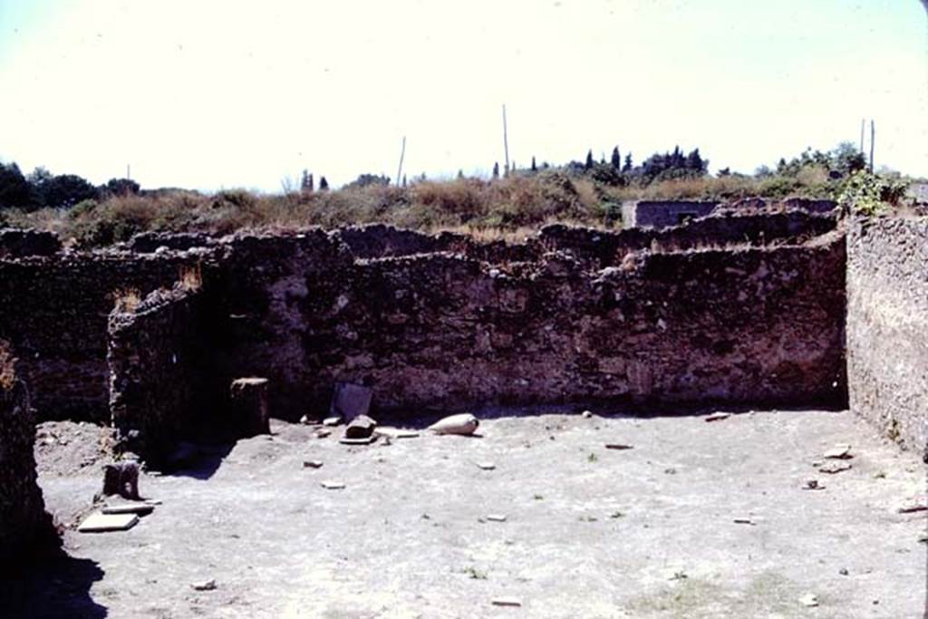I.14.2 Pompeii. 1972. Looking west across garden area with root cavities safely under the stones. Photo by Stanley A. Jashemski. 
Source: The Wilhelmina and Stanley A. Jashemski archive in the University of Maryland Library, Special Collections (See collection page) and made available under the Creative Commons Attribution-Non Commercial License v.4. See Licence and use details. J72f0688
According to Wilhelmina, 49 root cavities were found, 4 of these being large trees located at the edges of the garden. The others, excepting those found near the triclinium and an additional clump near the limestone block, were irregularly spaced in 5 rows running lengthwise in the garden, and these cavities were probably those of trees. There were also carbonized beans found in the garden, as well as carbonized figs and olive pollen.  
See Jashemski, W. F., 1993. The Gardens of Pompeii, Volume II: Appendices. New York: Caratzas. (p.59)
