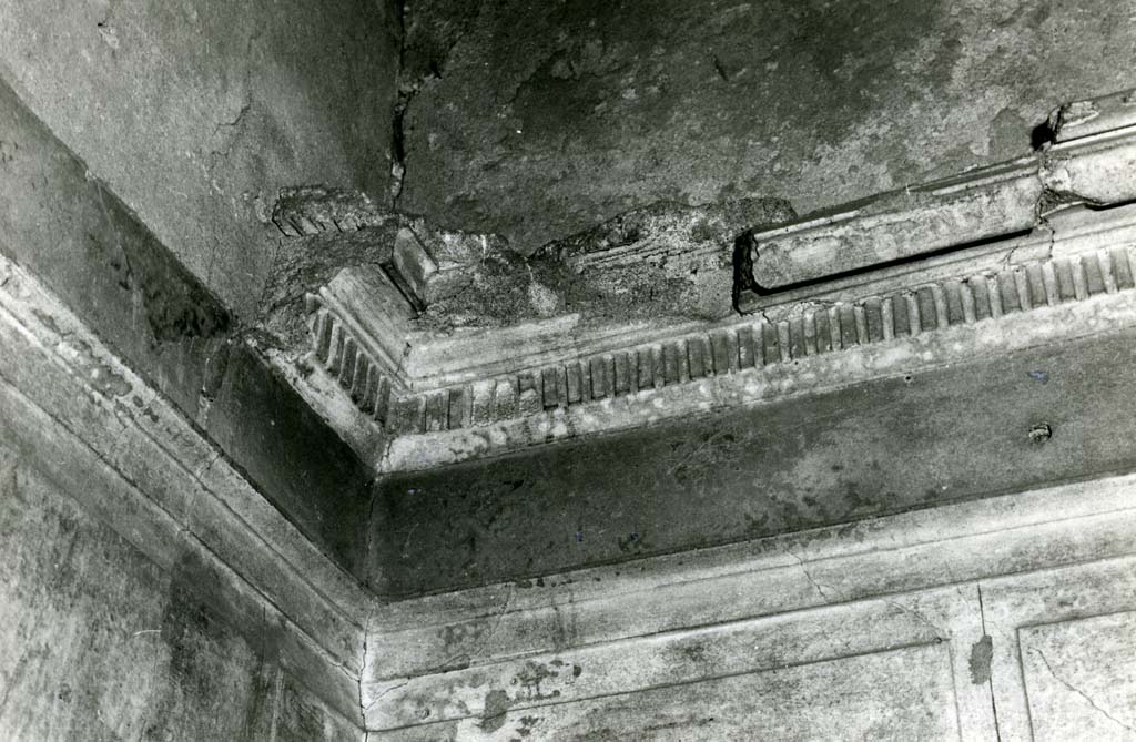 I.15.1 Pompeii. 1981. House, cubiculum 3, room on west side of entrance corridor, NE corner, detail of moulding. Photo courtesy of Anne Laidlaw.
American Academy in Rome, Photographic Archive. Laidlaw collection _P_81_2_12.
