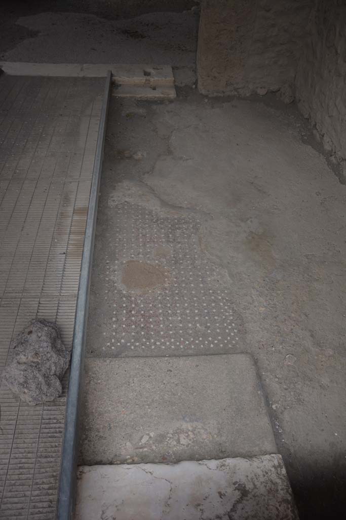 I.15.3 Pompeii. May 2015. Decorated floor in entrance room 5. 
Photo courtesy of Buzz Ferebee.
