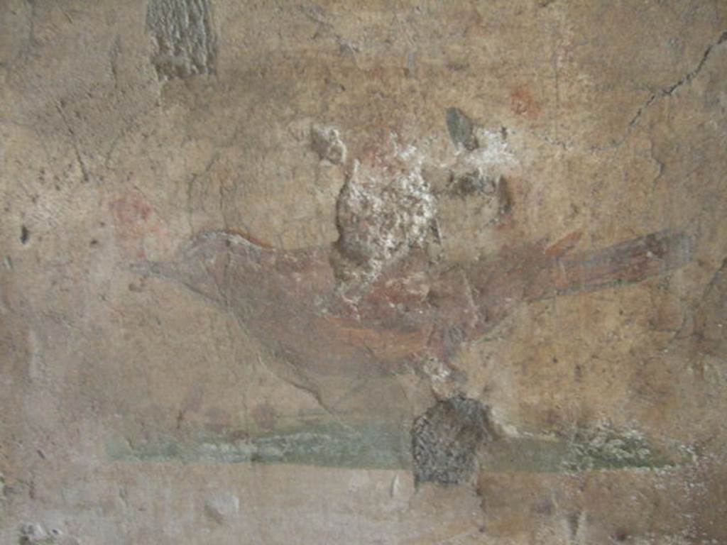 I.17.4 Pompeii.   May 2006. Cubiculum in south west corner of peristyle.  Painting of a bird.