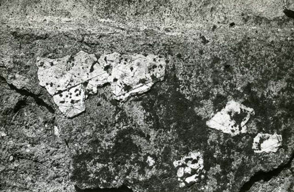 I.20.4 Pompeii. 1974. Shop House, room at NW corner, E wall, detail.  Photo courtesy of Anne Laidlaw.
American Academy in Rome, Photographic Archive. Laidlaw collection _P_74_3_10.

