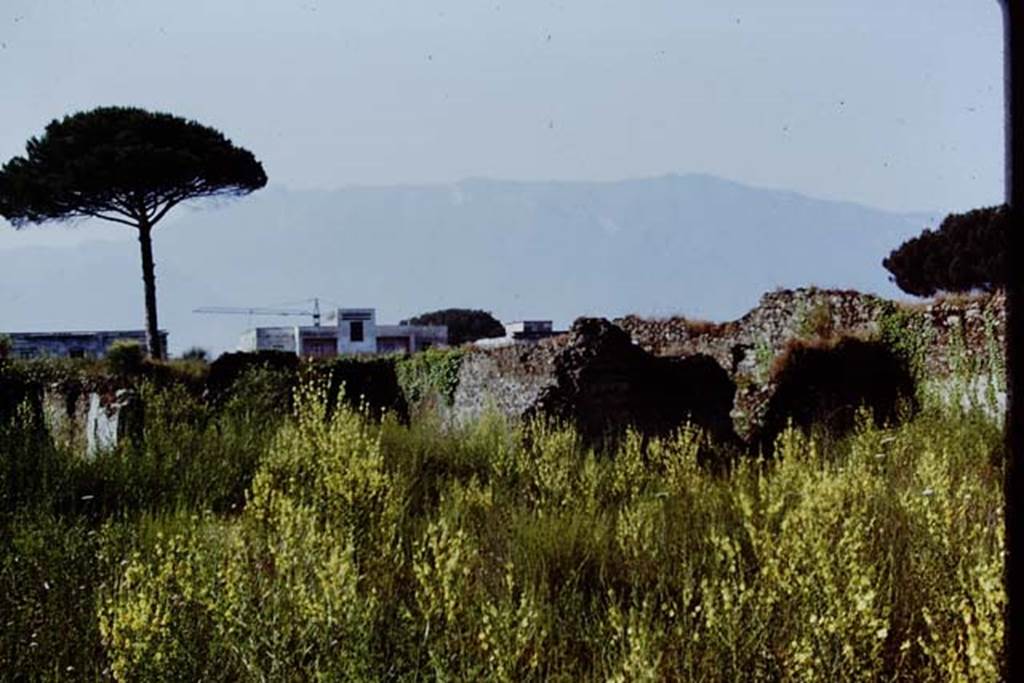 I.20.5 Pompeii. 1971. Looking south-west across garden area.  Photo by Stanley A. Jashemski.
Source: The Wilhelmina and Stanley A. Jashemski archive in the University of Maryland Library, Special Collections (See collection page) and made available under the Creative Commons Attribution-Non Commercial License v.4. See Licence and use details.
J71f0149
