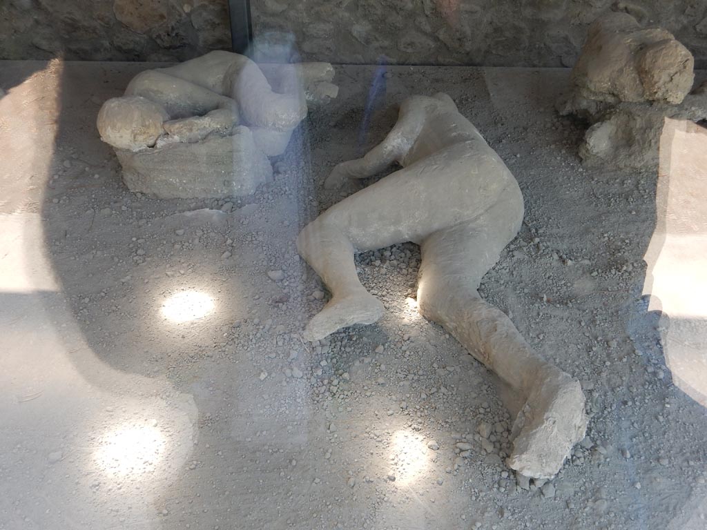 I.21.6 Pompeii. May 2016. Detail of plaster cast of the impression of two bodies, victims 46 and 47. Photo courtesy of Buzz Ferebee.