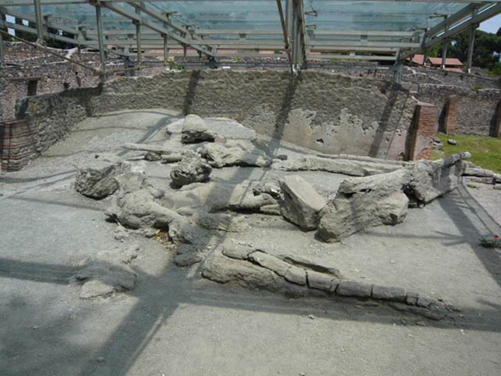 I.22.1 Pompeii. May 2012. Plaster casts of a group of fleeing people, discovered in 1989. Photo courtesy of Buzz Ferebee.