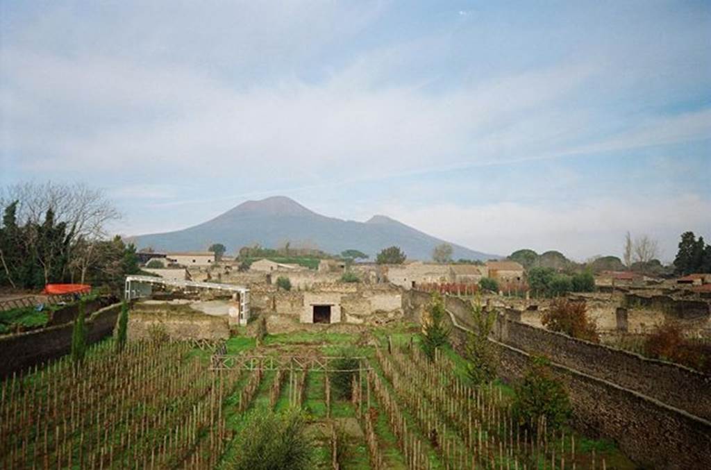 Looking north across insula I.22 to Vesuvius. November 2009.   I.22.1 is on the left hand side at the north end of the insula. Photo courtesy of Rick Bauer.
